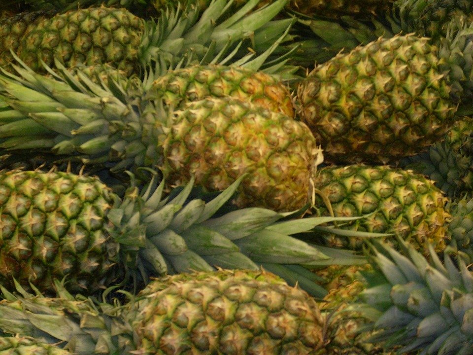 Il est un vrai stimulant des plantes et contient les éléments nutritifs essentiels des plantes (Azote (N), Phosphore (P), Potassium (K) 1) ) Augmente le rendement de la plante et améliore la qualité du produit. 2) Stimulant nutritionnel des plantes en créant les conditions normales de température et de pression 3) Efficace en contre saison ou pendant la sécheresse car réduit la perte d’eau due à l’évaporation et la dispersion 4) Il permet à la plante de faire meilleur usage de l’eau qui s’infiltre et se stabilise autour du système radiculaire de la plante pour lui permettre d’absorber plus rationnellement et ultérieurement les éléments nutritifs. 5) Lutte efficacement contre les vers et parasites présents dans le sol. Avantages spécifiques: 1. Améliore le rendement 2. Améliore la qualité du produit (dure plus en conservation et la qualité est préservée) 3. Réduit le besoin d’eau de la plante 4. Renforce le système d’autodéfense des plantes 5. Engrais organique biodégradable, non agressif 6. Ne détruit point le ph du sol 7. Utilisable à toutes les étapes de développement des plants et sur tout type de culture (dès la pépinière) Le SUPER GRO est la solution au besoin en nutriments de tous vos plants. Mode d'emploi : Diluer 1 ml de Super Gro dans 1 litre d'eau 15 ml pour 15 litres d'eau. 5 litres de Super Gro pour 5 000 litres d'eau. Pulvérisé la plante, pulvérisé encore après 1 mois. Fabricant : GNLD-NEOLIFE international