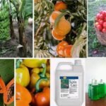 COMMENT UTILISER LE SUPER GRO ? Le mode d'utilisation du Super Gro conseille un mélange de 1ml de Super Gro avec 1litre d'eau (pour les cultures saisonnières et maraichères), et un mélange de 2ml de Super Gro avec 1 litre d'eau (pour les cultures pérennes).