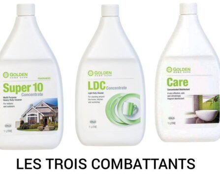 super gro et les trois combattants