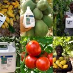 Prix du Super Gro au Cameroun : Tarifs Officiels 1L et 5L