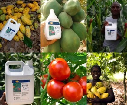 Prix du Super Gro au Cameroun : Tarifs Officiels 1L et 5L