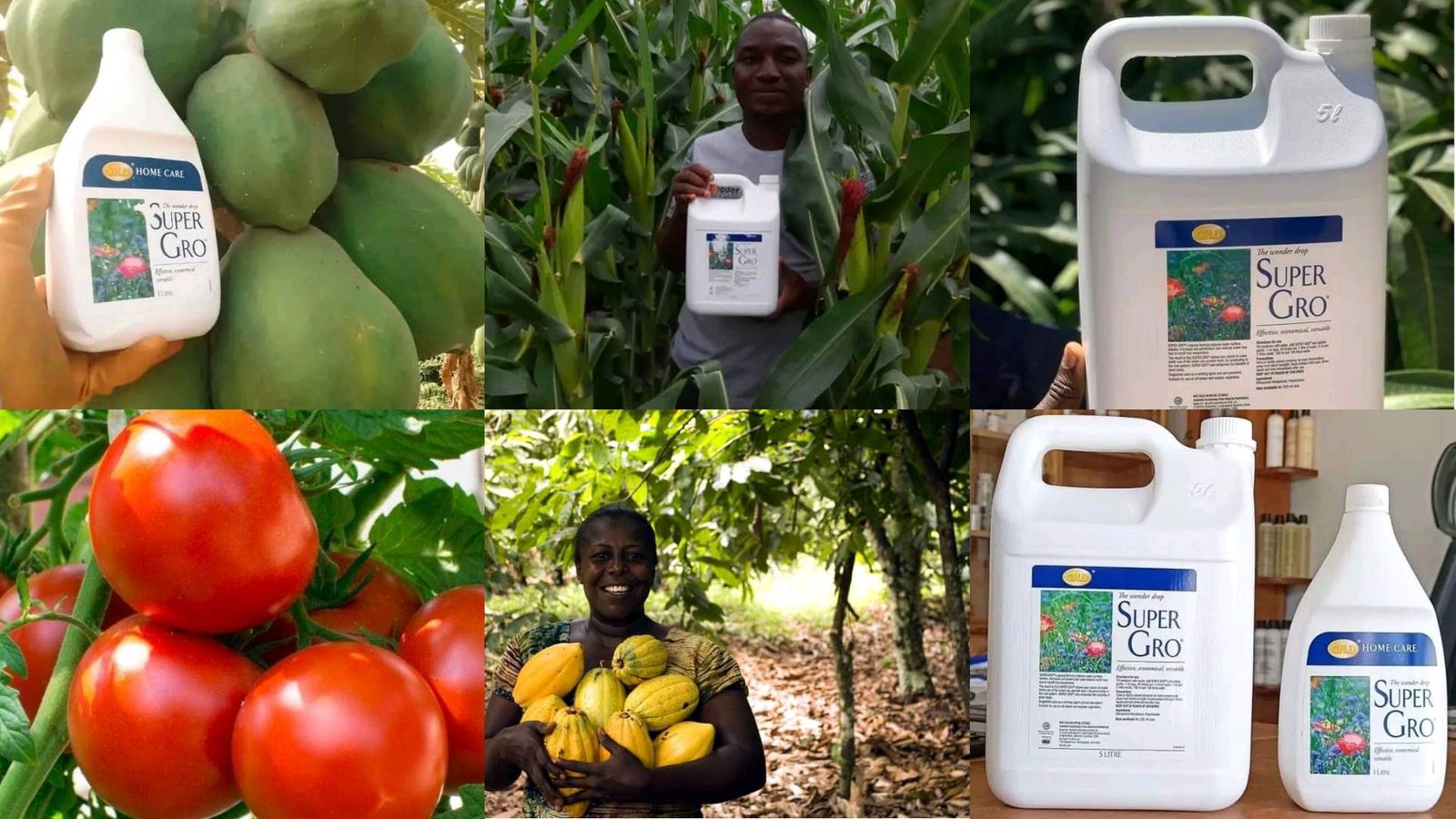Super Gro au Bénin : Prix, Utilisation et Rendements Record